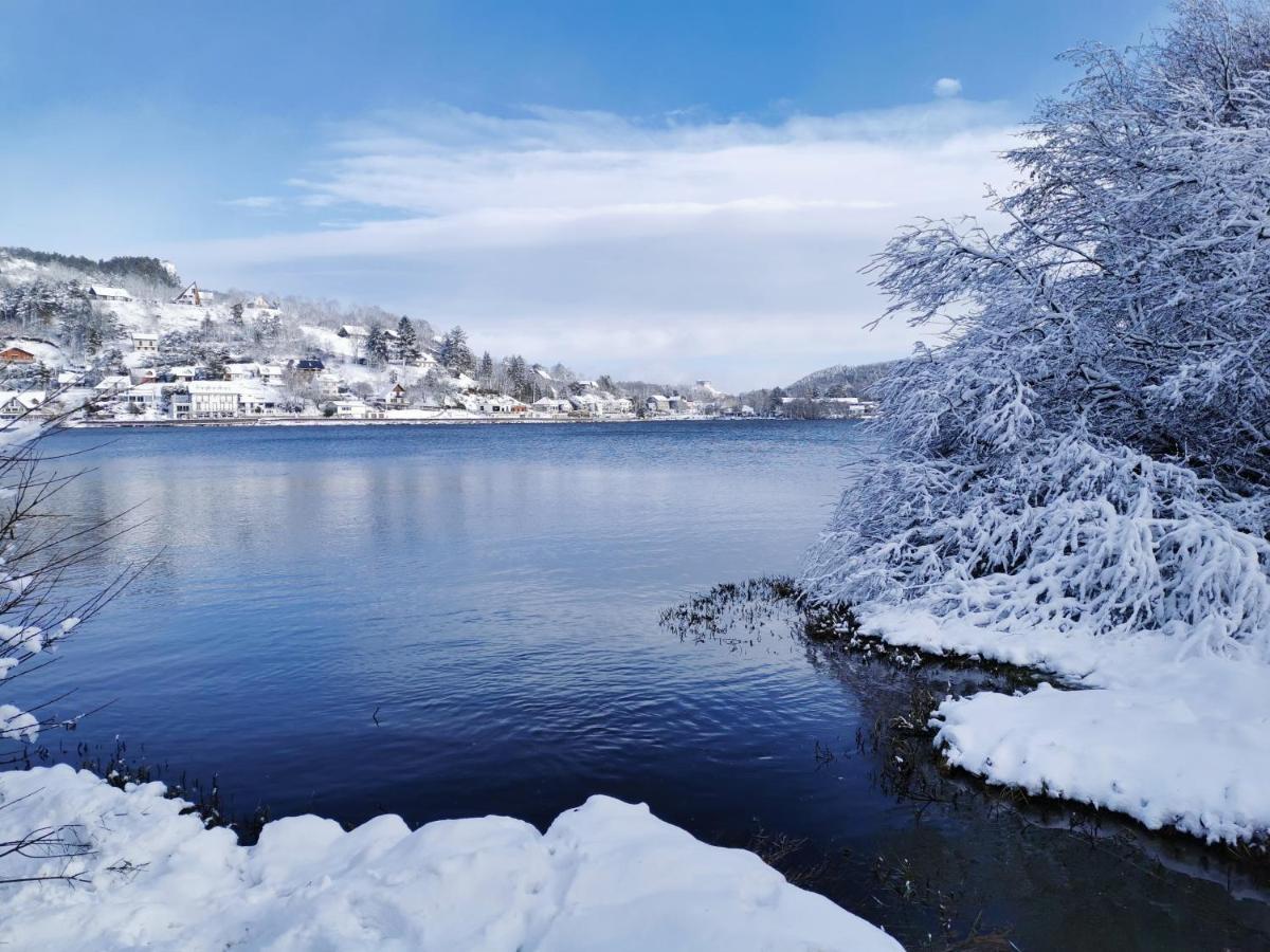 Chalet Entre Lac Et Volcan ミュロル エクステリア 写真